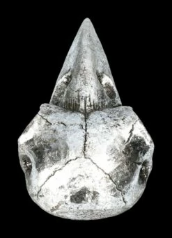 Handspiegel - Rabenschädel Silberfarben -FIGUREN Verkäufe 2D FS22640 Handspiegel Rabenschaedel silberfarben 5 1280x1280