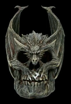 Spiral Drache Auf Totenkopf - Draco Skull