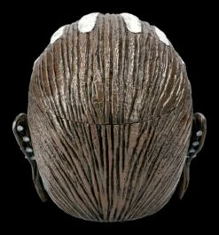 Iron Maiden Zombie Schädel Schatulle - Eddie Book Of Souls -FIGUREN Verkäufe 2D FS22741 Zombie Schaedel Eddie Book of Souls 4 1280x1280