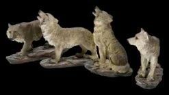 Wolf Figuren 4er Set - Wildes Rudel -FIGUREN Verkäufe 2D FS22821 Wolf Figuren 4er Set Wildes Rudel grau 11 1280x1280