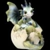 Drachen Figur - Hatchlings Emergence - Tedy -FIGUREN Verkäufe 2D FS22826 Drachen Figur Hatchlings Emergence Tedy 1 1280x1280