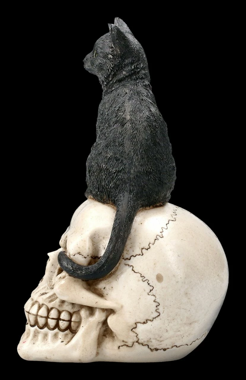Katzen Figur Auf Schädel 6 Katzen Figur Auf Schädel – Bild 4