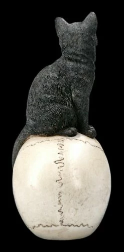 Katzen Figur Auf Schädel 14 Katzen Figur Auf Schädel -FIGUREN Verkäufe 2D FS22896 Katzen Figur auf Schadel Familiar Fate 3 1280x1280