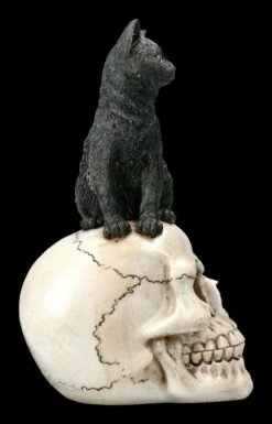 Katzen Figur Auf Schädel 15 Katzen Figur Auf Schädel -FIGUREN Verkäufe 2D FS22896 Katzen Figur auf Schadel Familiar Fate 4 1280x1280