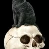 Katzen Figur Auf Schädel 1 Katzen Figur Auf Schädel -FIGUREN Verkäufe 2D FS22896 Katzen Figur auf Schadel Familiar Fate 5 1280x1280