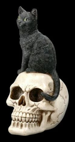 Katzen Figur Auf Schädel 12 Katzen Figur Auf Schädel -FIGUREN Verkäufe 2D FS22896 Katzen Figur auf Schadel Familiar Fate 6 1280x1280