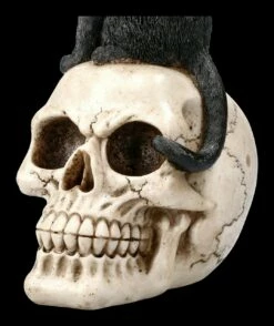 Katzen Figur Auf Schädel 17 Katzen Figur Auf Schädel -FIGUREN Verkäufe 2D FS22896 Katzen Figur auf Schadel Familiar Fate 7 1280x1280