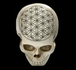 Totenkopf - Heilige Geometrie - Blume Des Lebens 15 Totenkopf - Heilige Geometrie - Blume Des Lebens -FIGUREN Verkäufe 2D FS23021 Totenkopf Heilige Geometrie Blume des Lebens 11 1280x1280