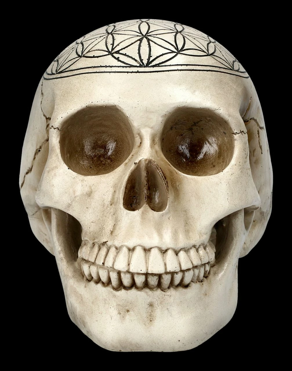 Totenkopf - Heilige Geometrie - Blume Des Lebens 5 Totenkopf - Heilige Geometrie - Blume Des Lebens – Bild 3