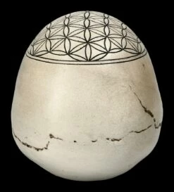 Totenkopf - Heilige Geometrie - Blume Des Lebens 13 Totenkopf - Heilige Geometrie - Blume Des Lebens -FIGUREN Verkäufe 2D FS23021 Totenkopf Heilige Geometrie Blume des Lebens 4 1280x1280