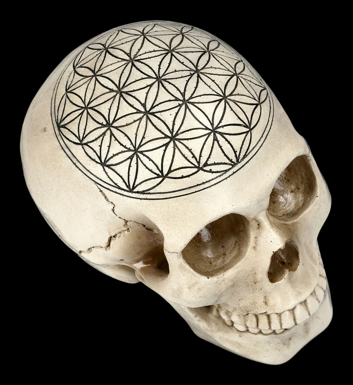 Totenkopf - Heilige Geometrie - Blume Des Lebens 4 Totenkopf - Heilige Geometrie - Blume Des Lebens – Bild 2