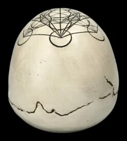 Totenkopf - Heilige Geometrie - Metatron Würfel -FIGUREN Verkäufe 2D FS23022 Totemkopf Heilige Geometrie Metatrons W rfel 3 1280x1280