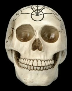 Totenkopf - Heilige Geometrie - Metatron Würfel -FIGUREN Verkäufe 2D FS23022 Totemkopf Heilige Geometrie Metatrons Wurfel 1 1280x1280