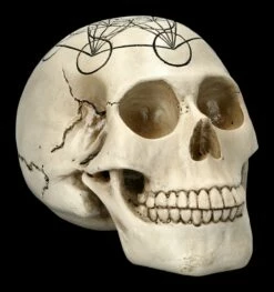 Totenkopf - Heilige Geometrie - Metatron Würfel