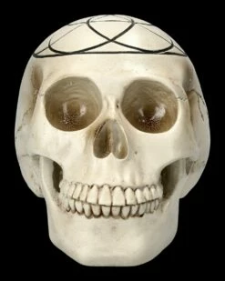 Totenkopf - Heilige Geometrie - Samen Des Lebens 11 Totenkopf - Heilige Geometrie - Samen Des Lebens -FIGUREN Verkäufe 2D FS23023 Totenkopf Heilige Geometrie Samen des Lebens 1 1280x1280