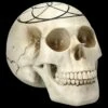 Totenkopf - Heilige Geometrie - Samen Des Lebens -FIGUREN Verkäufe 2D FS23023 Totenkopf Heilige Geometrie Samen des Lebens 5 1280x1280