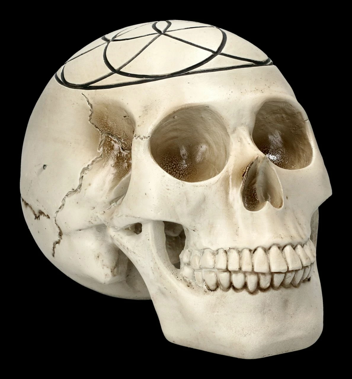 Totenkopf - Heilige Geometrie - Samen Des Lebens 3 Totenkopf - Heilige Geometrie - Samen Des Lebens