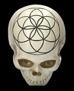 Totenkopf - Heilige Geometrie - Samen Des Lebens 15 Totenkopf - Heilige Geometrie - Samen Des Lebens -FIGUREN Verkäufe 2D FS23023 Totenkopf Heilige Geometrie Samen des Lebens 7 1280x1280