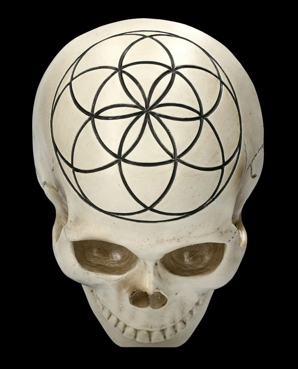 Totenkopf - Heilige Geometrie - Samen Des Lebens 9 Totenkopf - Heilige Geometrie - Samen Des Lebens – Bild 7