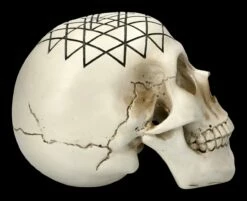 Totenkopf - Heilige Geometrie - Yantra 14 Totenkopf - Heilige Geometrie - Yantra -FIGUREN Verkäufe 2D FS23024 Totenkopf Heilige Geometrie Yantra 4 1280x1280