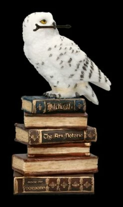 Eulen Figur - Schneeeule Mit Zauberstab -FIGUREN Verkäufe 2D FS23035 Eulen Figur Schneeeule mit Zauberstab 2 1280x1280