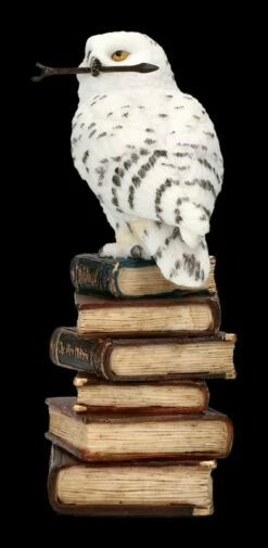 Eulen Figur - Schneeeule Mit Zauberstab -FIGUREN Verkäufe 2D FS23035 Eulen Figur Schneeeule mit Zauberstab 3 1280x1280