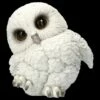 Eulen Figur - Schneeeulen Baby Feathers 1 Eulen Figur - Schneeeulen Baby Feathers -FIGUREN Verkäufe 2D FS23180 Eulen Figur Schneeeulen Baby Feathers 2 1280x1280