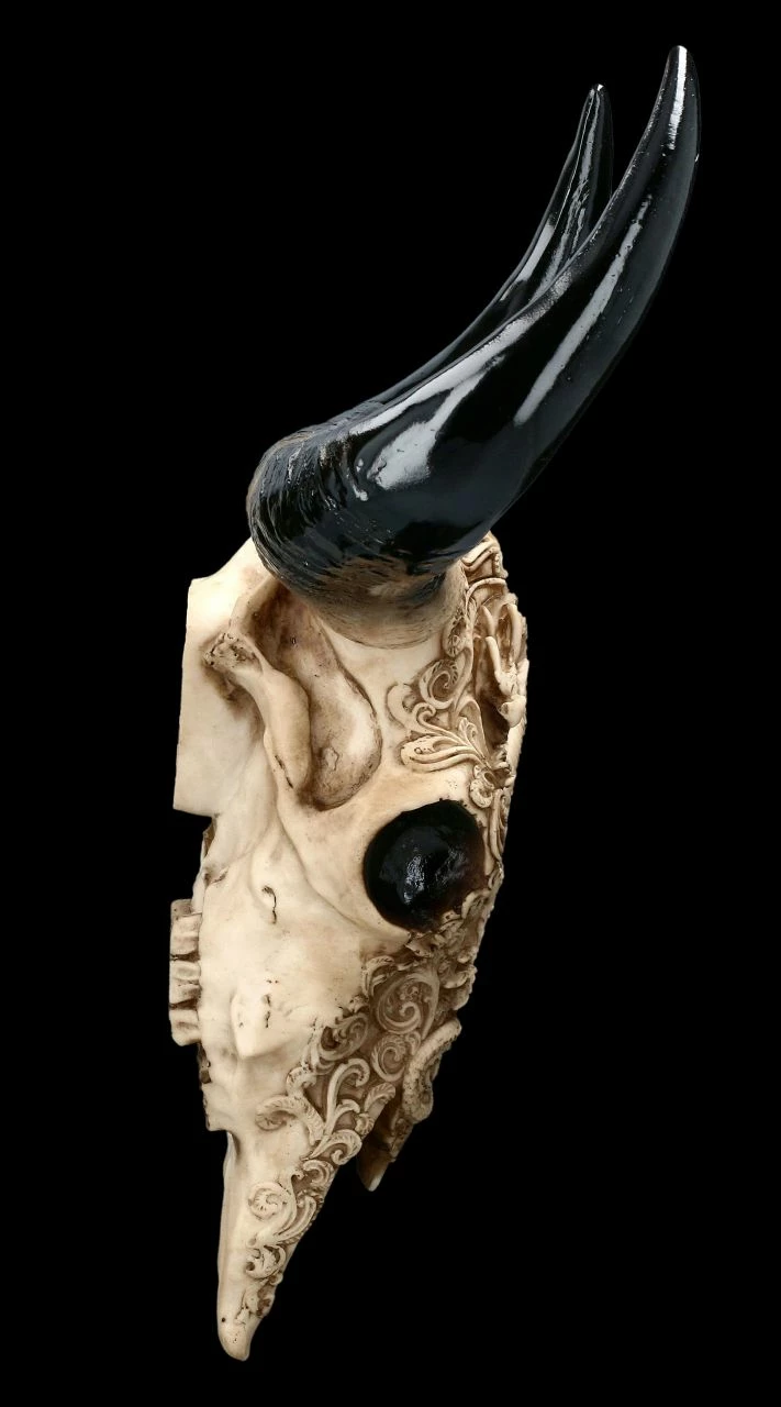 Wandrelief Stier Schädel - Drachenmotiv Groß 6 Wandrelief Stier Schädel - Drachenmotiv Groß – Bild 4