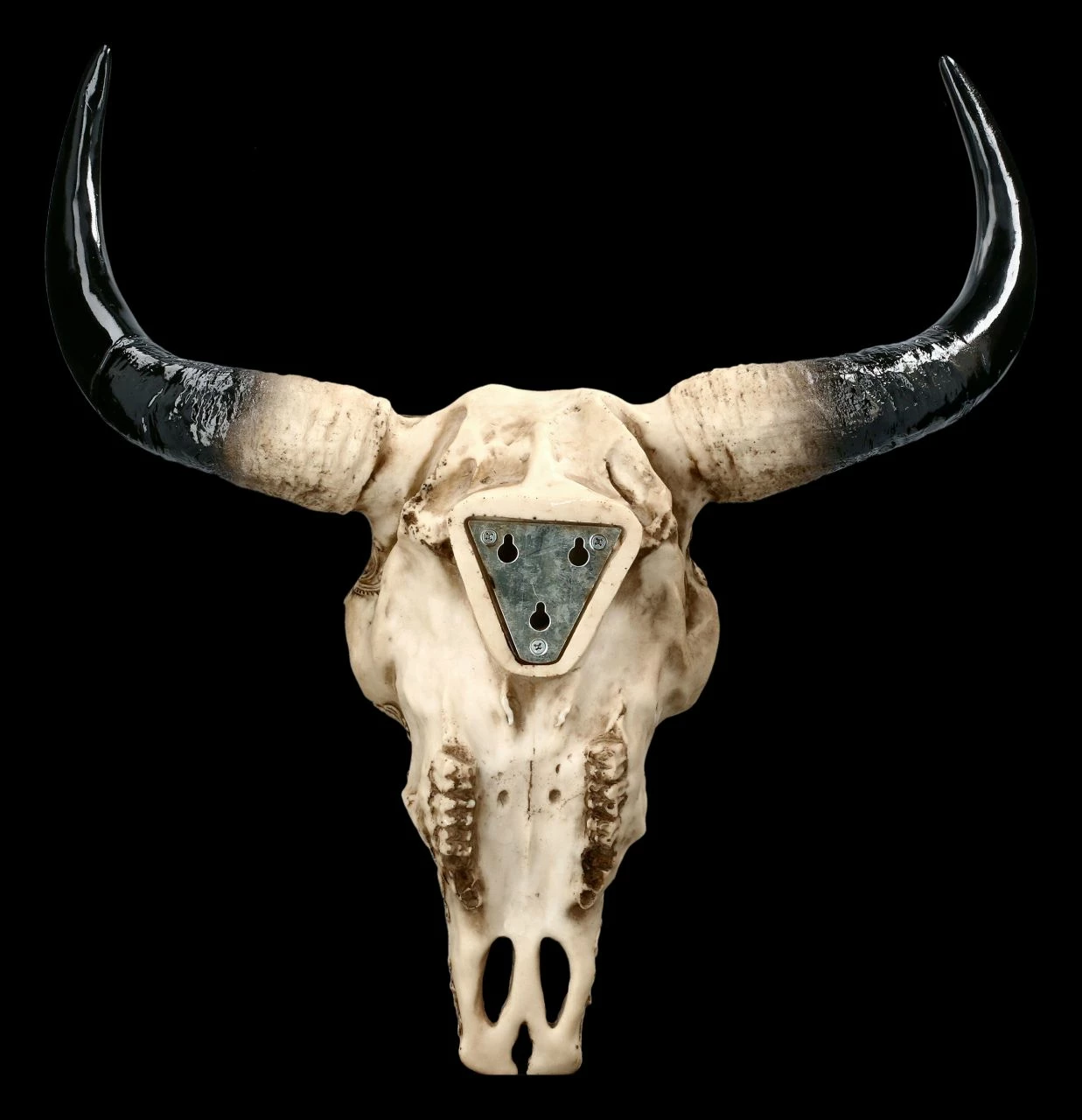 Wandrelief Stier Schädel - Drachenmotiv Groß 7 Wandrelief Stier Schädel - Drachenmotiv Groß – Bild 5
