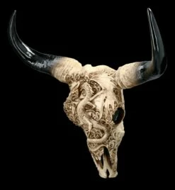 Wandrelief Stier Schädel - Drachenmotiv Groß 10 Wandrelief Stier Schädel - Drachenmotiv Groß -FIGUREN Verkäufe 2D FS23374 Wandrelief Stier Schadel Drachenmotiv gross 8 1280x1280
