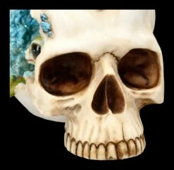 Totenkopf Mit Drache - Crystal Cave Blue 17 Totenkopf Mit Drache - Crystal Cave Blue -FIGUREN Verkäufe 2D FS23381 Totenkopf mit Drache Crystal Cave Blue 13 1280x1280