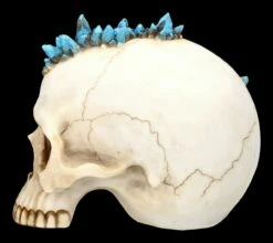Totenkopf Mit Drache - Crystal Cave Blue 13 Totenkopf Mit Drache - Crystal Cave Blue -FIGUREN Verkäufe 2D FS23381 Totenkopf mit Drache Crystal Cave Blue 8 1280x1280