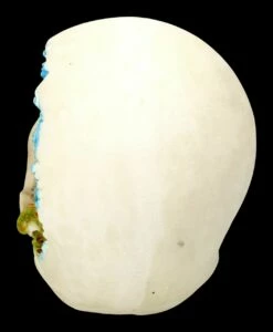 Totenkopf Mit Drache - Celtic Cave -FIGUREN Verkäufe 2D FS23382 Totenkopf mit Drach Celtic Cave 3 1280x1280