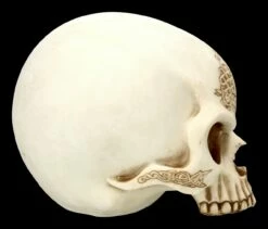 Totenkopf Mit Drache - Celtic Cave -FIGUREN Verkäufe 2D FS23382 Totenkopf mit Drach Celtic Cave 4 1280x1280