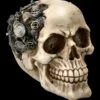 Totenkopf Mit Zahnrädern - Clockwork Cranium -FIGUREN Verkäufe 2D FS23432 Totenkopf mit Zahnr dern Clockwork Cranium 5 1280x1280