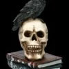 Raben Figur Auf Totenschädel - Raven's Spell -FIGUREN Verkäufe 2D FS23434 Raben Figur auf Totensch del Ravens Spell 1 1280x1280