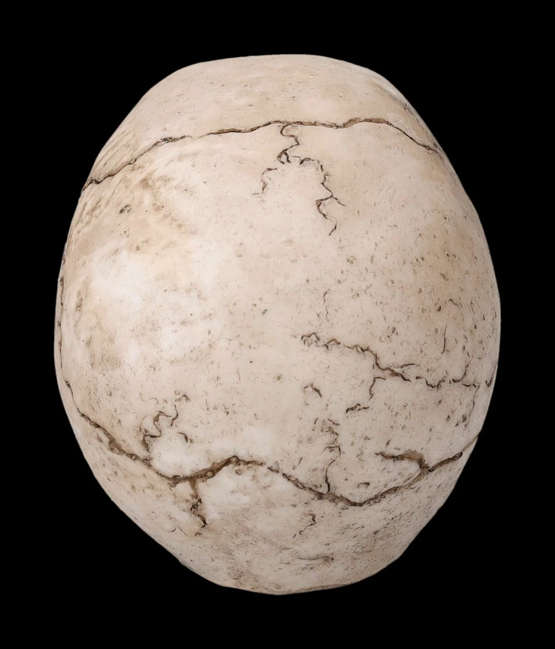 Totenkopf Figur - Witzbold 6 Totenkopf Figur - Witzbold – Bild 4