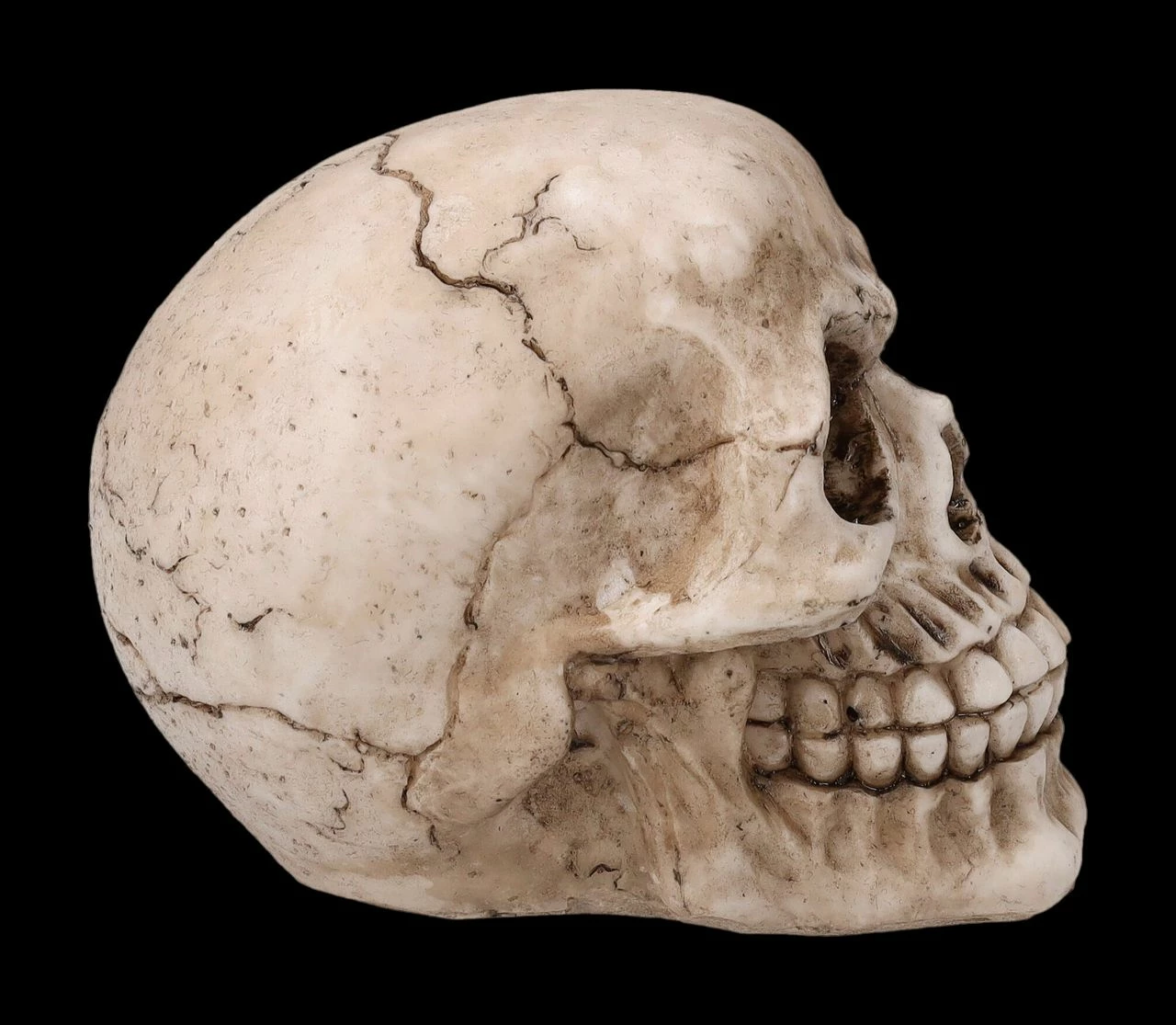 Totenkopf Figur - Witzbold 7 Totenkopf Figur - Witzbold – Bild 5