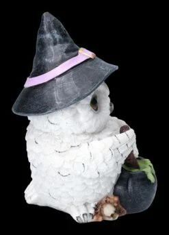 Eulen Figur Braut Zaubertrank -FIGUREN Verkäufe 2D FS23467 Eulen Figur braut Zaubertrank 5 1280x1280