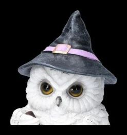 Eulen Figur Braut Zaubertrank -FIGUREN Verkäufe 2D FS23467 Eulen Figur braut Zaubertrank 9 1280x1280