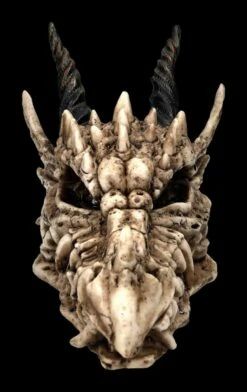 Schatulle - Drachen Totenschädel 12 Schatulle - Drachen Totenschädel -FIGUREN Verkäufe 2D FS23495 Schatulle DrachenTotensch del 1He7tpnxrA1iu6 1280x1280