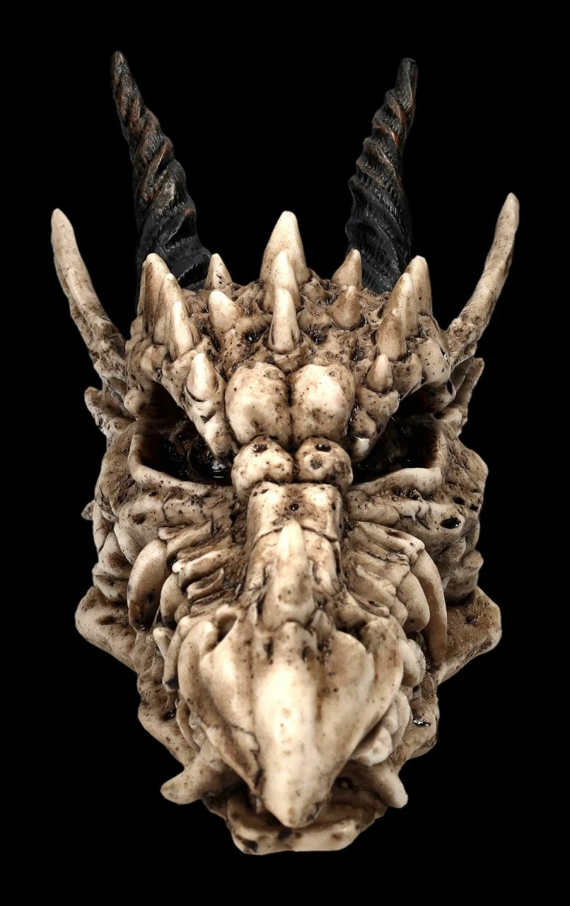 Schatulle - Drachen Totenschädel 6 Schatulle - Drachen Totenschädel – Bild 4