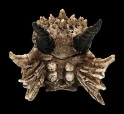 Schatulle - Drachen Totenschädel 14 Schatulle - Drachen Totenschädel -FIGUREN Verkäufe 2D FS23495 Schatulle DrachenTotensch del 3F3IRplMFaPRwE 1280x1280