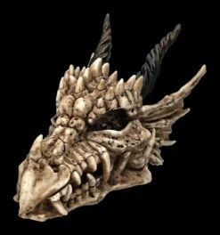 Schatulle - Drachen Totenschädel 15 Schatulle - Drachen Totenschädel -FIGUREN Verkäufe 2D FS23495 Schatulle DrachenTotensch del 6s02rdMGWXdc7j 1280x1280
