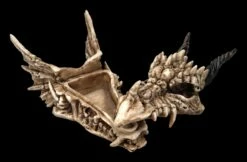 Schatulle - Drachen Totenschädel 11 Schatulle - Drachen Totenschädel -FIGUREN Verkäufe 2D FS23495 Schatulle DrachenTotensch del 75pNzV6PhQKFCf 1280x1280