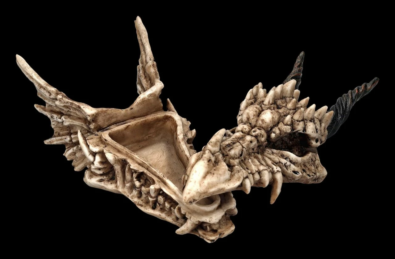 Schatulle - Drachen Totenschädel 5 Schatulle - Drachen Totenschädel – Bild 3