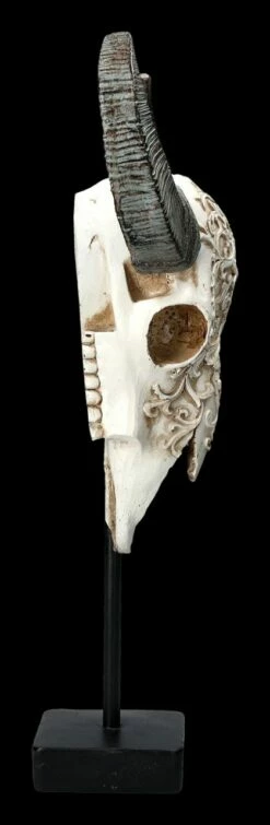 Bullen Totenkopf - Verziert Mit Ständer 13 Bullen Totenkopf - Verziert Mit Ständer -FIGUREN Verkäufe 2D FS23525 Bullen Totenkopf mit Verzierungen und St nder 4 1280x1280