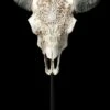 Stier Totenkopf - Verziert Mit Ständer 2 Stier Totenkopf - Verziert Mit Ständer -FIGUREN Verkäufe 2D FS23526 Stier Totenkopf mit Verziehrungen und St nder 1 1280x1280