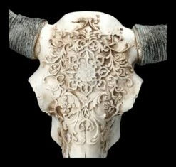 Stier Totenkopf - Verziert Mit Ständer -FIGUREN Verkäufe 2D FS23526 Stier Totenkopf mit Verziehrungen und St nder 7 1280x1280