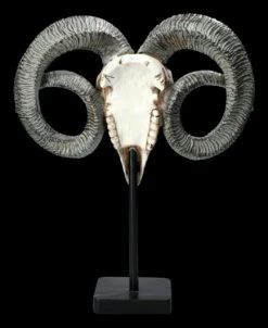 Widder Totenkopf - Verziert Mit Ständer -FIGUREN Verkäufe 2D FS23527 Widder Totenkopf mit Verzeirungen und St nder 3 1280x1280